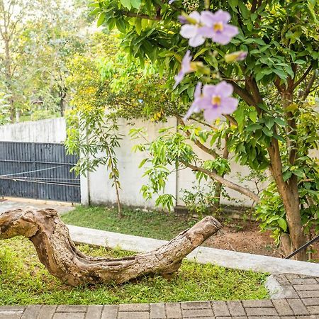Battaramulla Boutique Villa Sri Jayewardenepura Kotte Exteriér fotografie